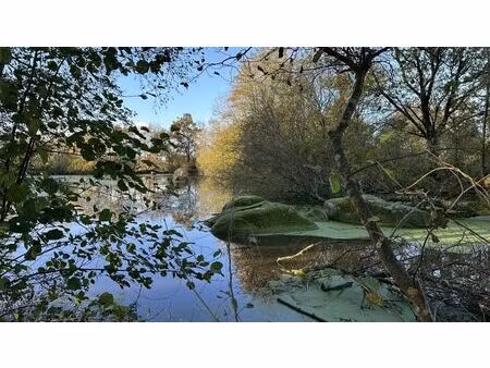 vente terrain 8220 m² rives-de-l’yon (85310)