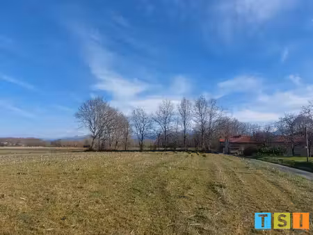 terrain constructible