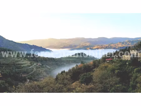 vente maison 8 pièces 366 m² à nonières (07160)  700 000 €