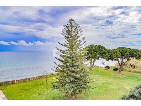 vente appartement 1 pièce 24.59 m² à canale-di-verde (20230)  94 000 €