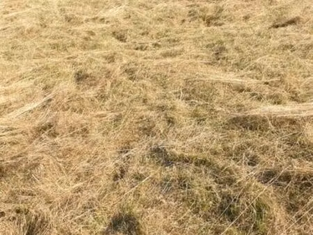 terrain à bâtir à xertigny