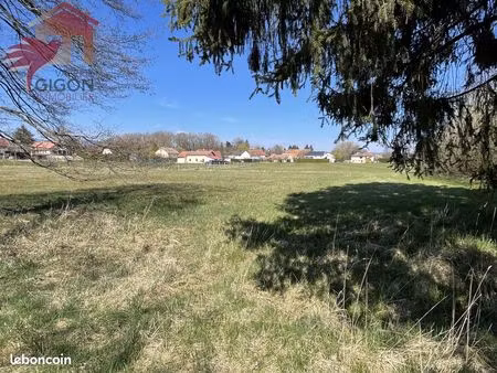 terrain 6689 m² angeot