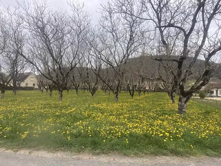 vente terrain 4530 m² à sarlat-la-caneda (24200)  77 000 €