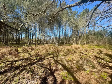 vente terrain 1640 m² à gourbera (40990)  149 500 €