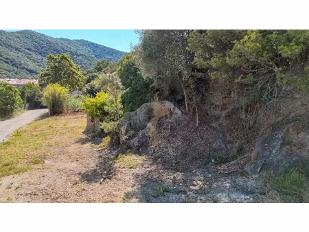 vente terrain 1010 m² à prunelli-di-fiumorbo (20243)  77 000 €