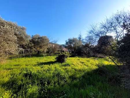 vente terrain 1189 m² à saint-paul-trois-châteaux (26130)  205 000 €