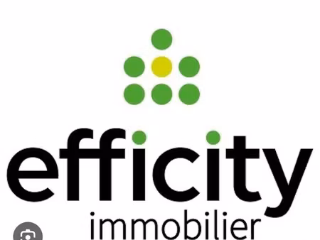 vente locaux professionnels 130 m² à fontenay-trésigny (77610)  199 000 €