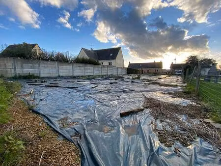 vente terrain à mondevert (35370) : à vendre / 511m² mondevert