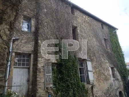 vente maison 6 pièces 460 m² lys-haut-layon (49310)