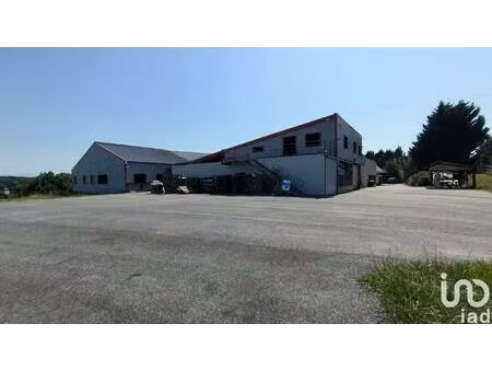 vente local d'activités 700 m²