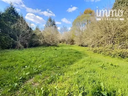 vente terrain 11100 m² nozay (44170)