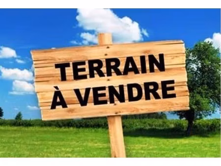 vente terrain