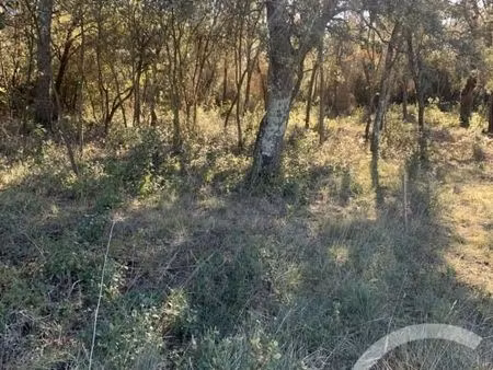 terrain 1 430 m² aujargues