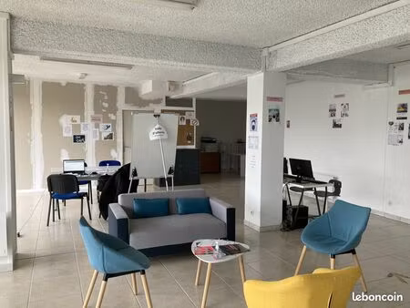 local commercial 114 m² segré-en-anjou bleu