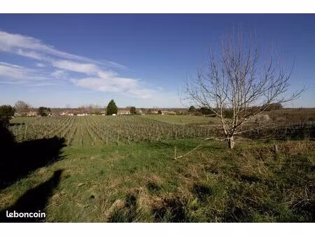 propriété 5 pièces 140 m²