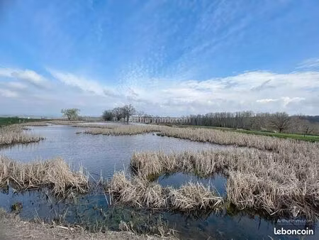 local 420000 m² noailly