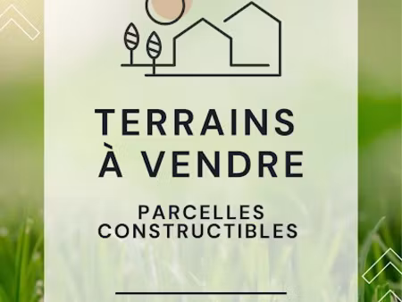 vente terrain 984 m² à sens (89100)  53 628 €