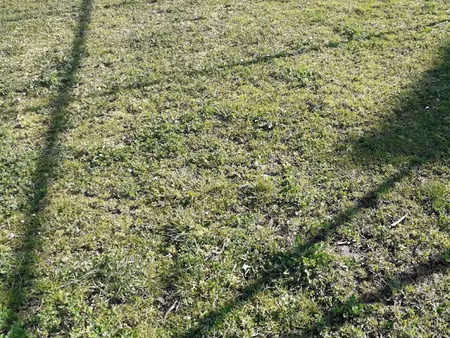 vente terrain 1340 m² à farschviller (57450)  113 900 €