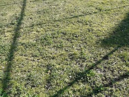 terrain 1 340 m² farschviller