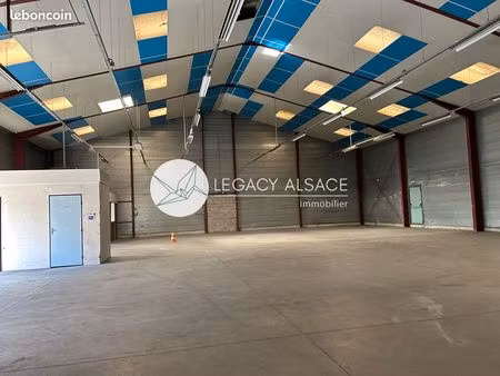 local 500 m² haguenau