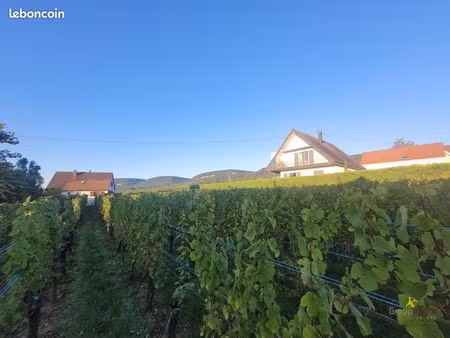 terrain 634 m² obermorschwihr