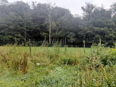 terrain 699 m² denestanville