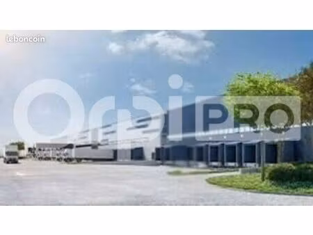 local logistique  transport 38 000 m²