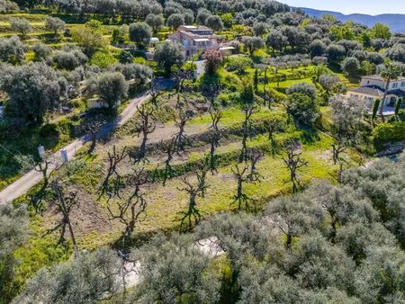 contes - haut las ayas