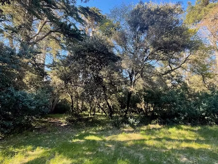 le bois de la chaize