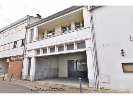 immeuble à vendre villeneuve sur lot 220m2 179 000€
