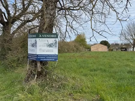 vente terrain 1596 m² à montmorillon (86500)  39 000 €