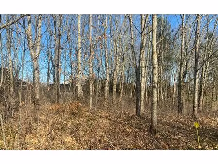 terrain bonnut m² t- à vendre  40 540 €