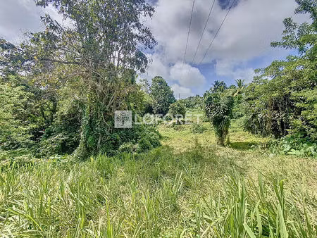 terrain lot 4 capesterre belle eau 2189 m²