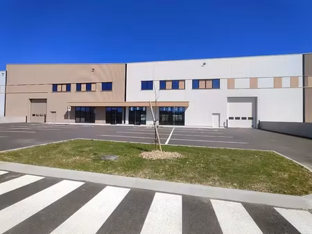 local d'activite a louer