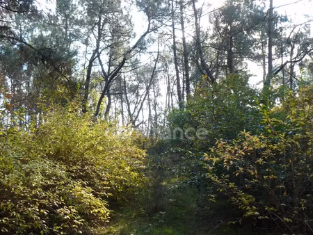 terrain à vendre nivillac 14360m2 40 000€