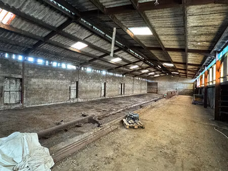 entrepôt / local industriel mache