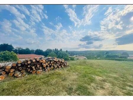 terrain constructible avec parcelle boisée