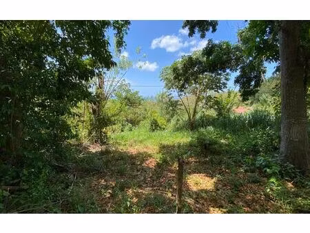 terrain case-pilote m² t- à vendre  151 000 €