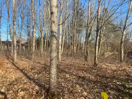 terrain à vendre