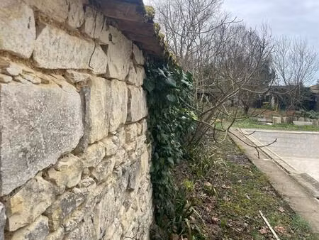 vente terrain bourgneuf (17220)
