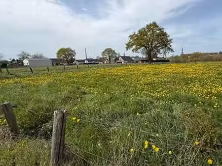 vente terrain à issé (44520) : à vendre / 3265m² issé