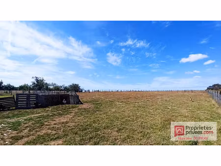 vente terrain 2500 m² à château-renault (37110)  38 000 €