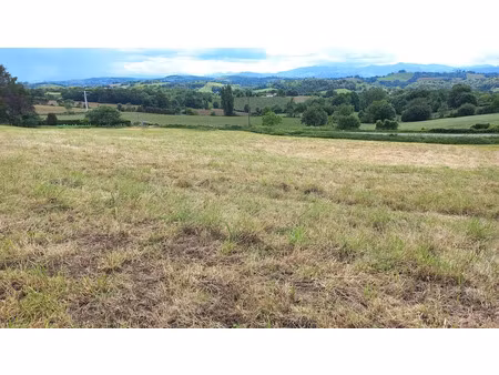 vente terrain 9660 m² à domezain-berraute (64120)  211 000 €