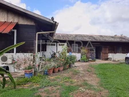 vente terrain 2844 m² à macouria tonate (97355)  190 000 €