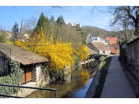 vente locaux professionnels 43 m² à chevreuse (78460)  135 200 €