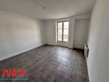 grand appartement rénové en centre-ville