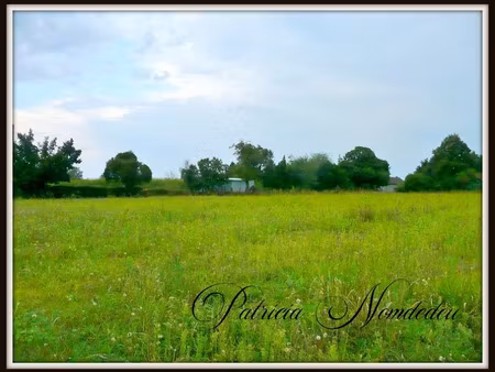 vente terrain 1855 m² à sévignacq (64160)  31 000 €