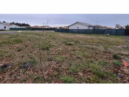 vente terrain 528 m² à parentis-en-born (40160)  160 000 €