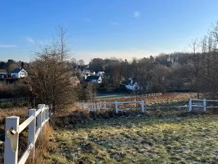 cheval de bois: terrain de fond avec vue époustouflante