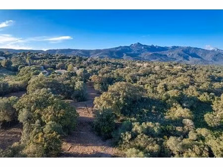 terrain de 8565 m2 - pianottoli-caldarello  france